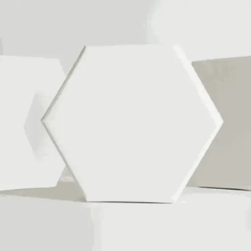 [CBBS09] Octagon Box
