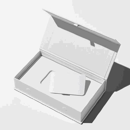 [CBBS03] Five Panel Folder Box